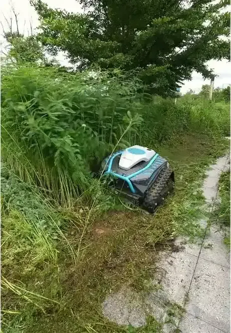 Foto do produto por Marcos Silva